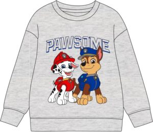 Sweat Pat Patrouille avec capuche et poche kangourou