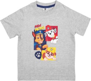 T-shirt Pat Patrouille Chase Marcus Ruben gris