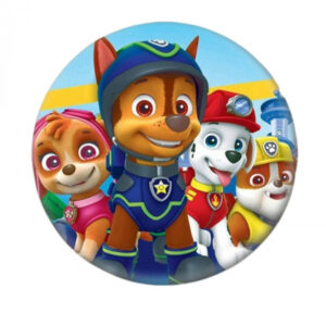Badge Pat Patrouille Chase Stella Ruben Marcus