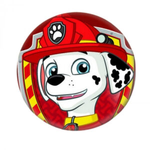 Badge Pat Patrouille Marcus