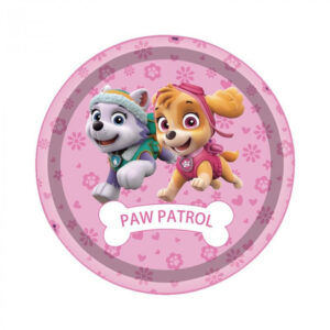 Assiettes anniversaire Pat Patrouille Stella - 17 cm, lot de 10